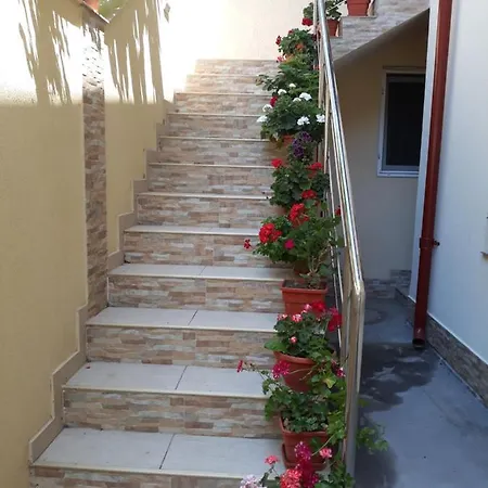 Gazde/Camere de închiriat Casa Nina -camere Si Eforie Nord