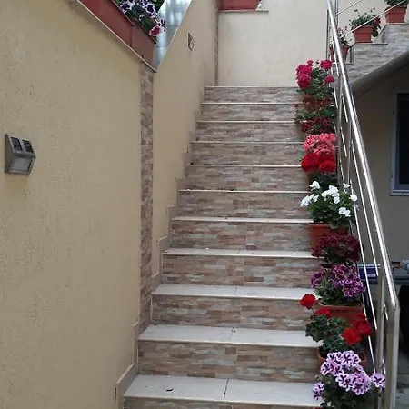 Gazde/Camere de închiriat Casa Nina -camere Si Eforie Nord